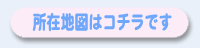 access_9.gif (2863bytes)